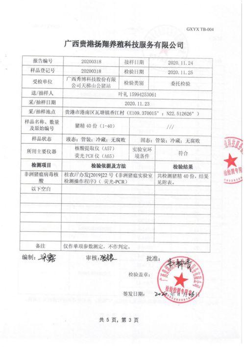 真爱测试报告,深度解析你的爱情密码