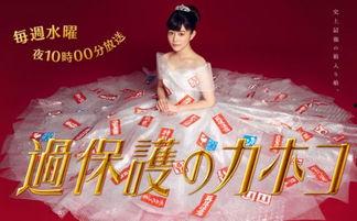 温室里的加穗子,探索现代农业的奥秘