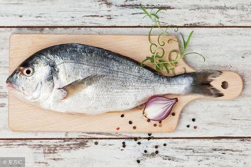 我是神王爱吃鱼,探寻味蕾与神力的完美融合